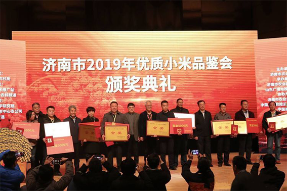 龙山小米479.png