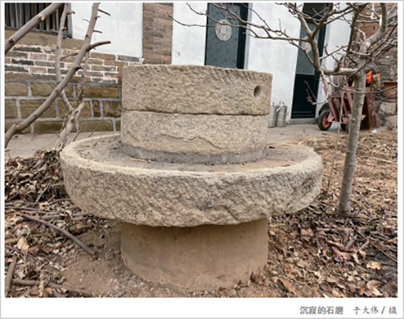 为深入学习宣传习近平文化思想1674.png